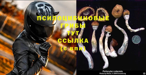сатива Абдулино