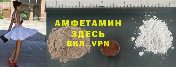 прущий лед Новозыбков