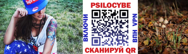 Псилоцибиновые грибы прущие грибы Торопец